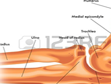 Bolesti loketního kloubu
